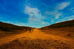 SundayFilmsAD_Landscapes1