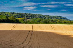 SundayFilmsAD_Landscapes11