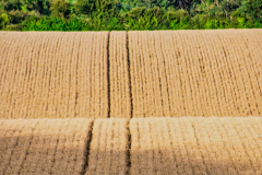 SundayFilmsAD_Landscapes12