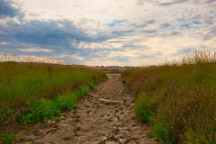 SundayFilmsAD_Landscapes6