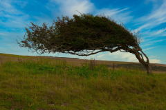 SundayFilmsAD_Landscapes8