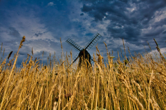 SundayFilmsAD_Landscapes9