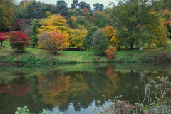 Sunday-Films-Nature-1