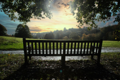 Sunday-Films-Nature-2