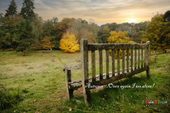 Sunday-Films-Nature-4